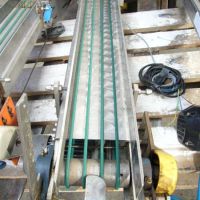 Belt conveyor, stainless steel, Length 1150mm